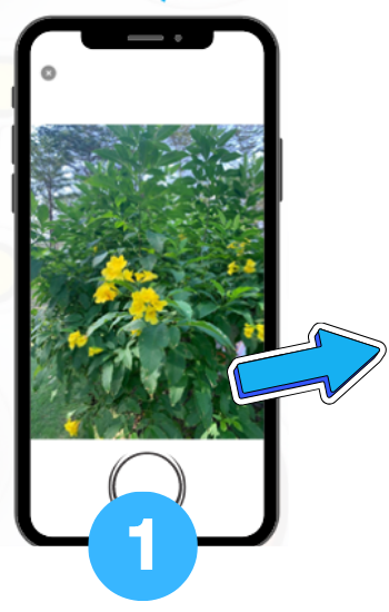 Tub App Captures